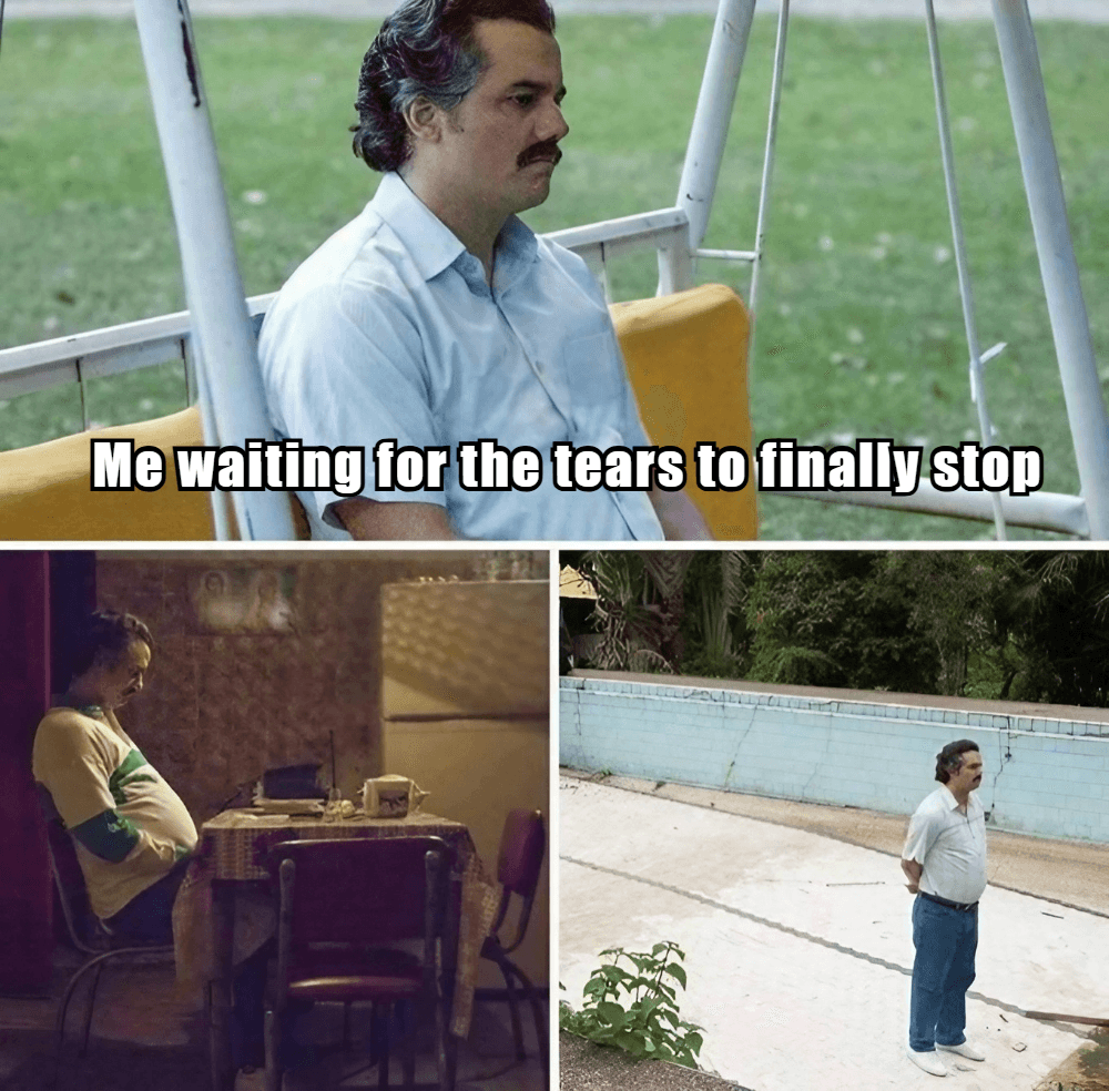 10+ Funniest Crying Memes - Best Crying Face Memes That Are Too Relatable