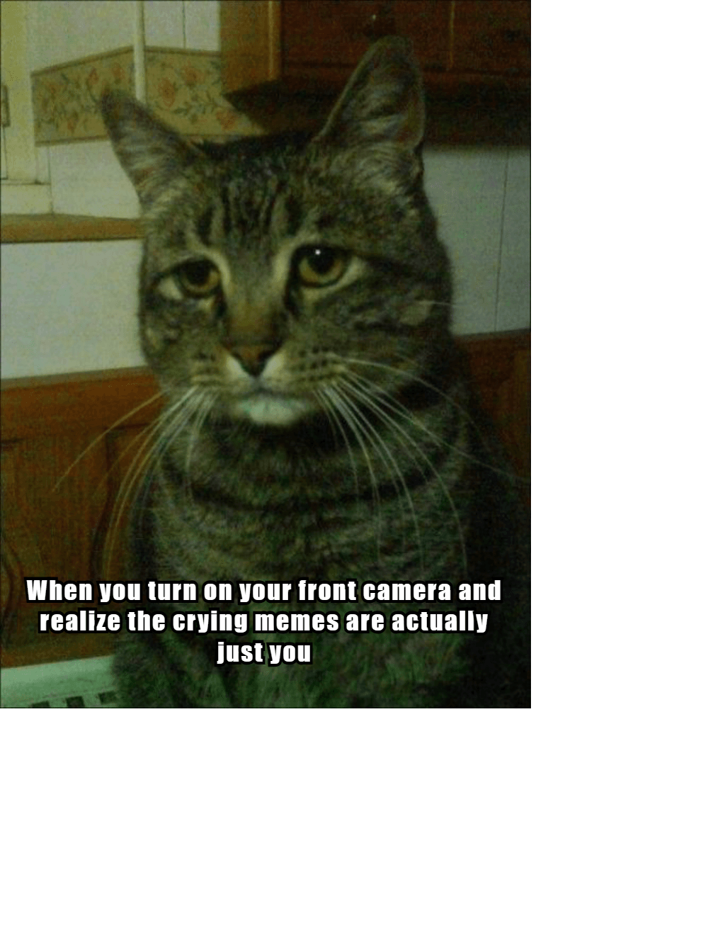 Funniest Crying Memes 13