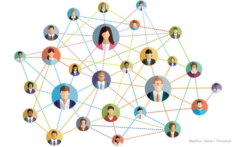 Job search networking