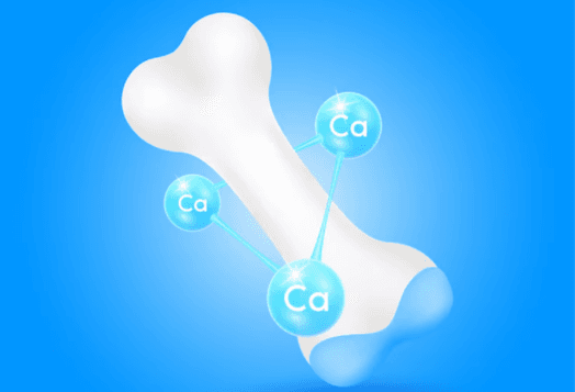 Top Calcium-Rich Foods in India for Strong Bones & Better Health
