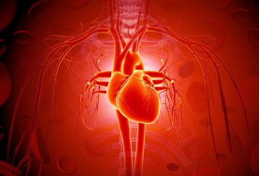 Yoga for the Heart: Best Practices for Improving Circulation and Cardiovascular Health