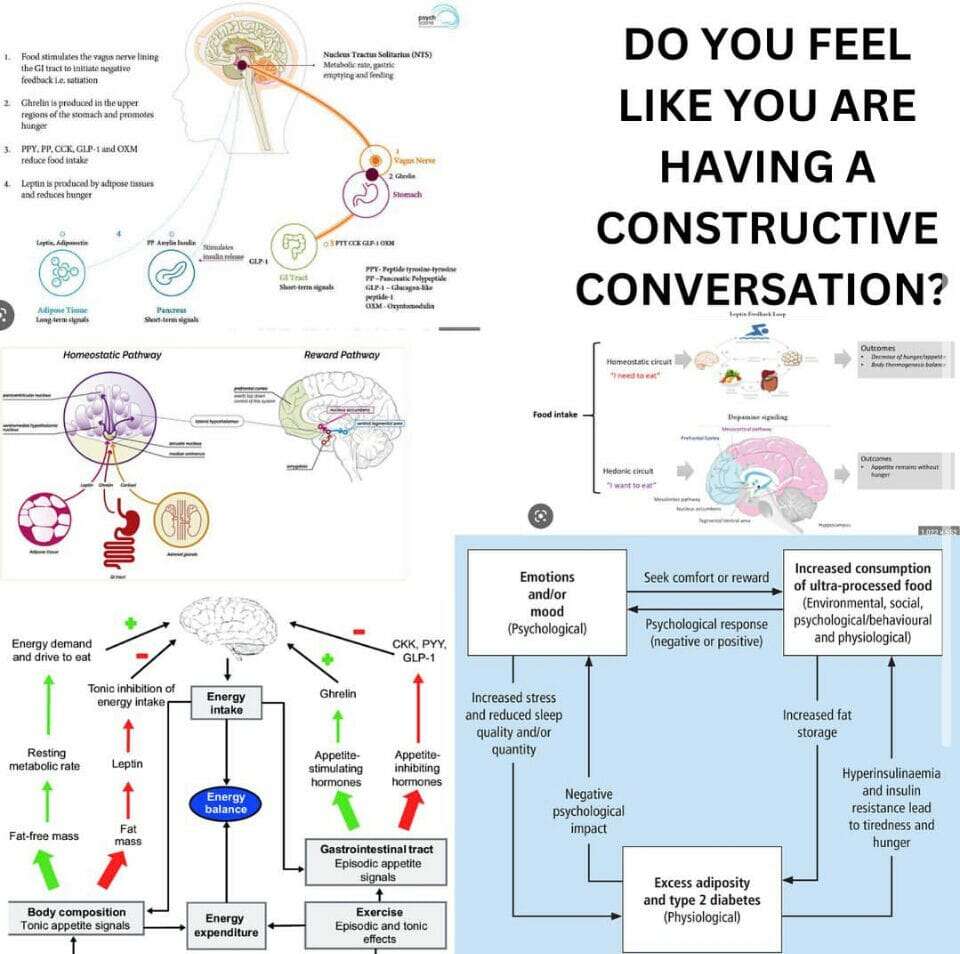Hunger is ridiculously complex